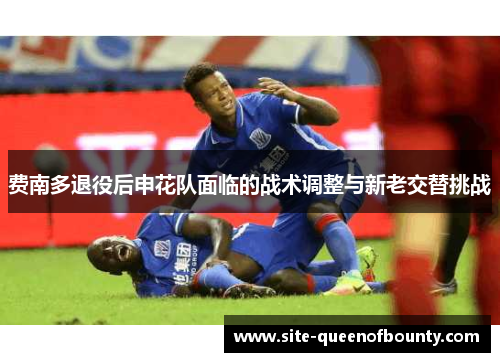 费南多退役后申花队面临的战术调整与新老交替挑战