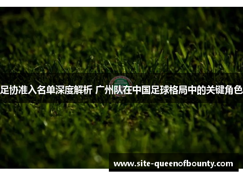 足协准入名单深度解析 广州队在中国足球格局中的关键角色
