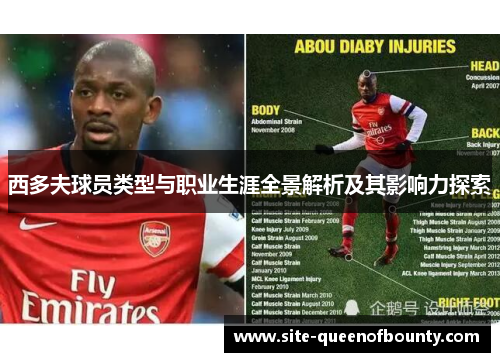 西多夫球员类型与职业生涯全景解析及其影响力探索
